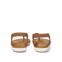 Sandalia Plana F8043-Ex4 Castanho